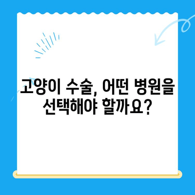 인천 24시 동물병원 고양이 수술 후기| 경험담, 비용, 주의사항 총정리 | 고양이 수술, 동물병원 추천, 수술 후 관리