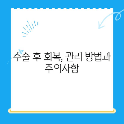인천 24시 동물병원 고양이 수술 후기| 경험담, 비용, 주의사항 총정리 | 고양이 수술, 동물병원 추천, 수술 후 관리