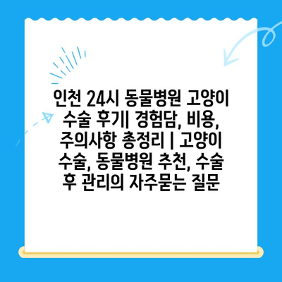 인천 24시 동물병원 고양이 수술 후기| 경험담, 비용, 주의사항 총정리 | 고양이 수술, 동물병원 추천, 수술 후 관리