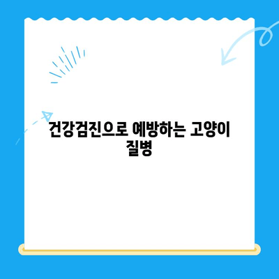 고양이 건강검진의 중요성| 24시 폴 동물병원에서 알려드리는 필수 검사 & 건강 관리 팁 | 고양이 건강, 건강검진, 동물병원, 24시 진료