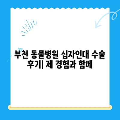 부천 동물병원 십자인대 수술 후기| 제 경험과 함께 | 반려동물, 수술, 회복, 부천