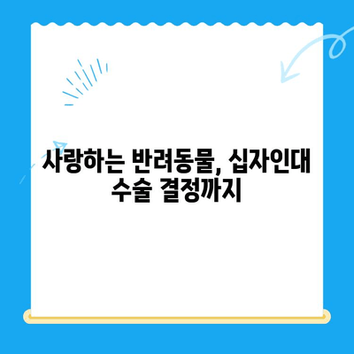 부천 동물병원 십자인대 수술 후기| 제 경험과 함께 | 반려동물, 수술, 회복, 부천