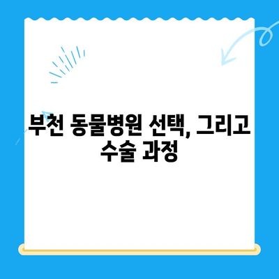 부천 동물병원 십자인대 수술 후기| 제 경험과 함께 | 반려동물, 수술, 회복, 부천