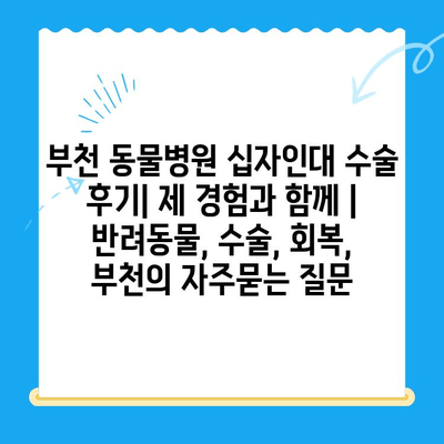 부천 동물병원 십자인대 수술 후기| 제 경험과 함께 | 반려동물, 수술, 회복, 부천