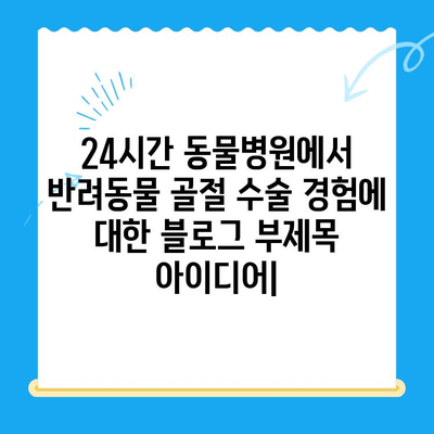 24시간 동물병원에서 반려동물 골절 수술 경험| 성공적인 치료를 위한 모든 것 | 동물병원, 골절, 수술, 회복, 반려동물