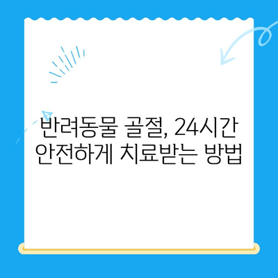 24시간 동물병원에서 반려동물 골절 수술 경험| 성공적인 치료를 위한 모든 것 | 동물병원, 골절, 수술, 회복, 반려동물