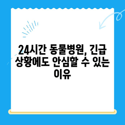 24시간 동물병원에서 반려동물 골절 수술 경험| 성공적인 치료를 위한 모든 것 | 동물병원, 골절, 수술, 회복, 반려동물
