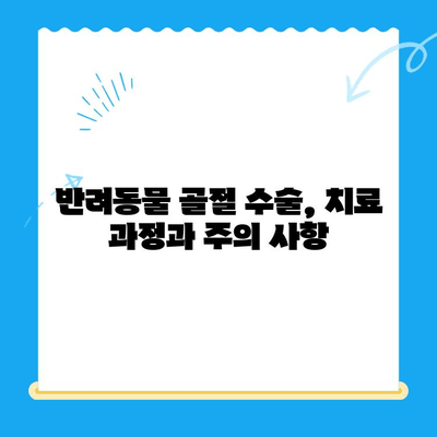 24시간 동물병원에서 반려동물 골절 수술 경험| 성공적인 치료를 위한 모든 것 | 동물병원, 골절, 수술, 회복, 반려동물