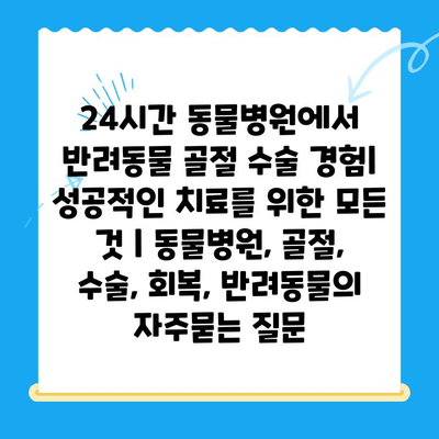 24시간 동물병원에서 반려동물 골절 수술 경험| 성공적인 치료를 위한 모든 것 | 동물병원, 골절, 수술, 회복, 반려동물