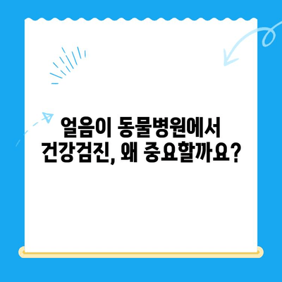 동물병원 얼음이에서 반려동물 건강검진 받기| 종합적인 안내 | 건강검진, 예약, 비용, 검사 항목, 주의사항