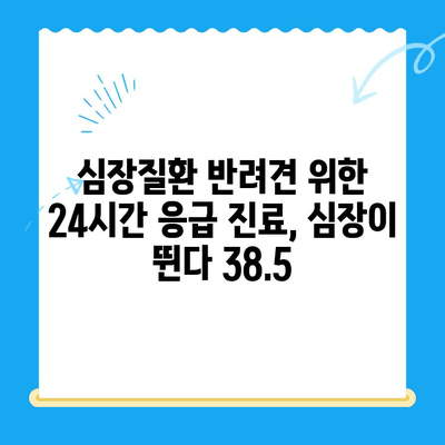 심장질환 반려견, 24시간 응급 진료 가능한 동물병원 