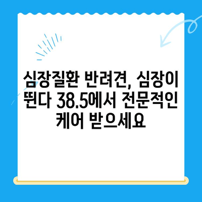 심장질환 반려견, 24시간 응급 진료 가능한 동물병원 