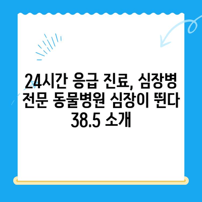 심장질환 반려견, 24시간 응급 진료 가능한 동물병원 