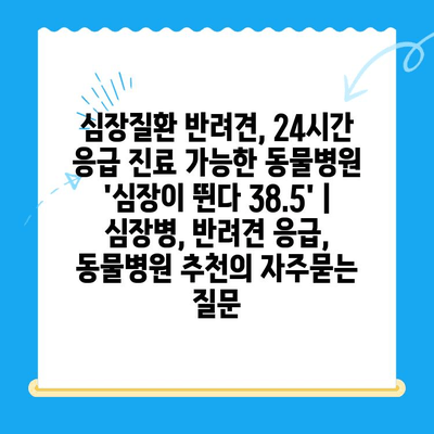 심장질환 반려견, 24시간 응급 진료 가능한 동물병원 