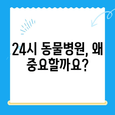 고양이 건강검진, 언제 어떻게? 24시 폴 동물병원이 알려주는 필수 정보 | 고양이 건강, 건강검진 시기, 건강 검진 비용, 24시 동물병원