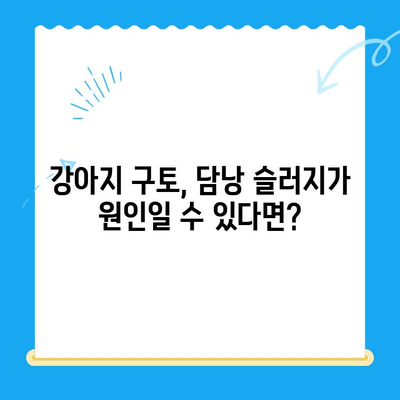 강아지 구토 후 담낭 슬러지| 초음파 검사, 간보호제 치료 | 24시 동물병원, 담낭 질환, 강아지 건강