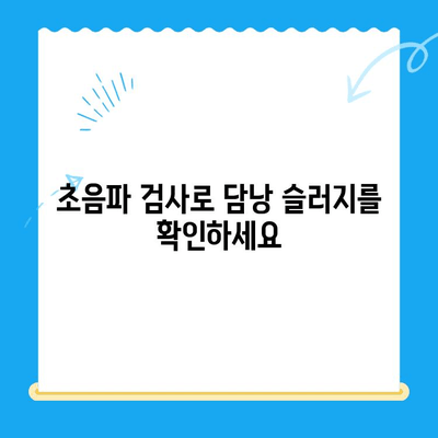 강아지 구토 후 담낭 슬러지| 초음파 검사, 간보호제 치료 | 24시 동물병원, 담낭 질환, 강아지 건강
