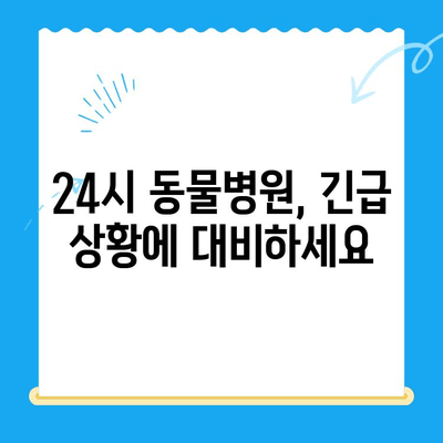 강아지 구토 후 담낭 슬러지| 초음파 검사, 간보호제 치료 | 24시 동물병원, 담낭 질환, 강아지 건강