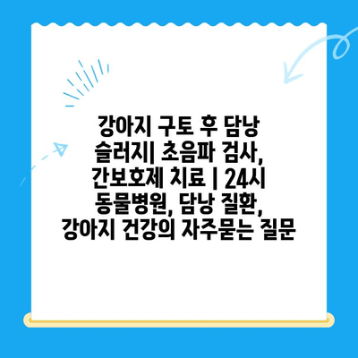 강아지 구토 후 담낭 슬러지| 초음파 검사, 간보호제 치료 | 24시 동물병원, 담낭 질환, 강아지 건강