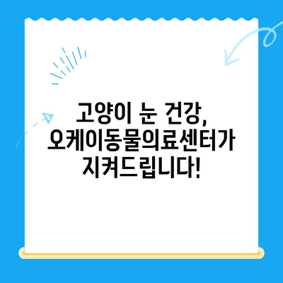 오케이동물의료센터 고양이 안과 검진| 눈 건강 지키는 필수 가이드 | 고양이 안과 질환, 검사, 치료, 예방