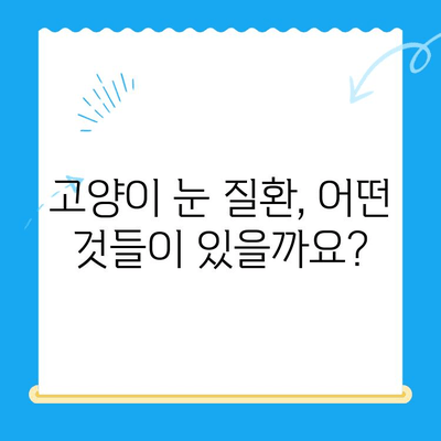 오케이동물의료센터 고양이 안과 검진| 눈 건강 지키는 필수 가이드 | 고양이 안과 질환, 검사, 치료, 예방