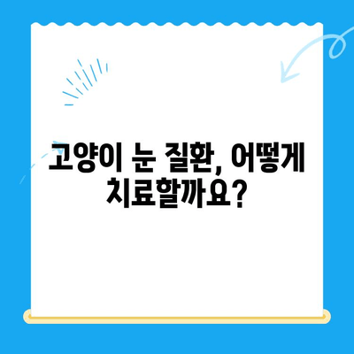 오케이동물의료센터 고양이 안과 검진| 눈 건강 지키는 필수 가이드 | 고양이 안과 질환, 검사, 치료, 예방