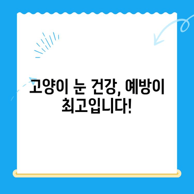 오케이동물의료센터 고양이 안과 검진| 눈 건강 지키는 필수 가이드 | 고양이 안과 질환, 검사, 치료, 예방