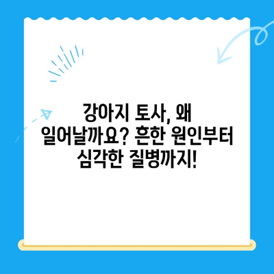 강아지 토사물, 원인부터 치료까지! 24시 동물병원 MRI 검사 비용까지 알아보세요 | 강아지 토사, 토할 때, 응급 처치, 동물병원, 진료비