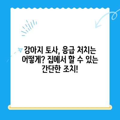 강아지 토사물, 원인부터 치료까지! 24시 동물병원 MRI 검사 비용까지 알아보세요 | 강아지 토사, 토할 때, 응급 처치, 동물병원, 진료비