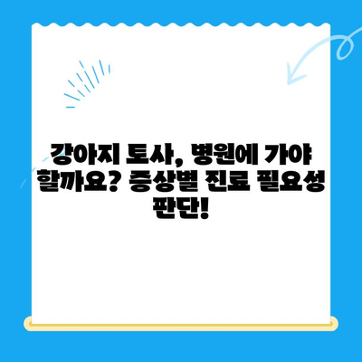 강아지 토사물, 원인부터 치료까지! 24시 동물병원 MRI 검사 비용까지 알아보세요 | 강아지 토사, 토할 때, 응급 처치, 동물병원, 진료비