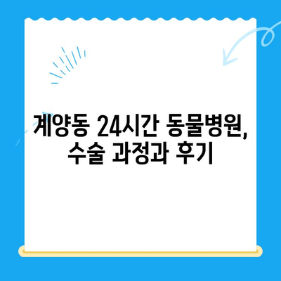 계양동 24시간 동물병원 수술 후기| 솔직한 경험 공유 | 반려동물, 응급 수술, 병원 추천