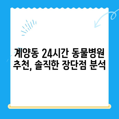 계양동 24시간 동물병원 수술 후기| 솔직한 경험 공유 | 반려동물, 응급 수술, 병원 추천