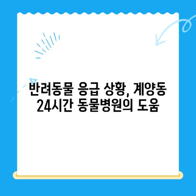 계양동 24시간 동물병원 수술 후기| 솔직한 경험 공유 | 반려동물, 응급 수술, 병원 추천