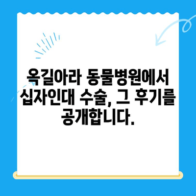 옥길아라 동물병원 십자인대 수술 후기| 솔직한 경험 공유 | 강아지, 십자인대 파열, 수술 과정, 회복