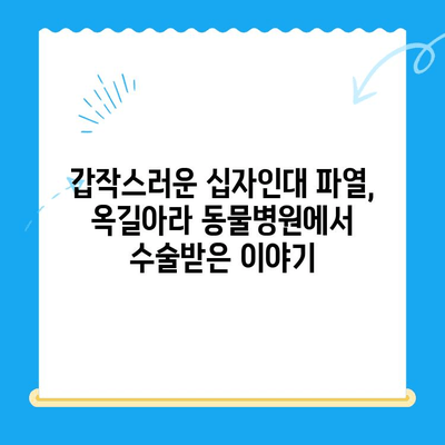 옥길아라 동물병원 십자인대 수술 후기| 솔직한 경험 공유 | 강아지, 십자인대 파열, 수술 과정, 회복