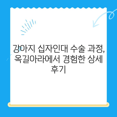 옥길아라 동물병원 십자인대 수술 후기| 솔직한 경험 공유 | 강아지, 십자인대 파열, 수술 과정, 회복