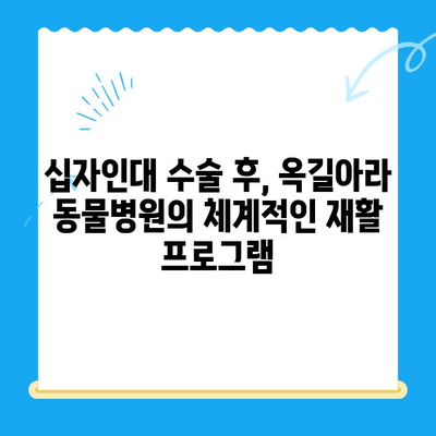 옥길아라 동물병원 십자인대 수술 후기| 솔직한 경험 공유 | 강아지, 십자인대 파열, 수술 과정, 회복