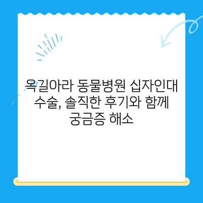 옥길아라 동물병원 십자인대 수술 후기| 솔직한 경험 공유 | 강아지, 십자인대 파열, 수술 과정, 회복