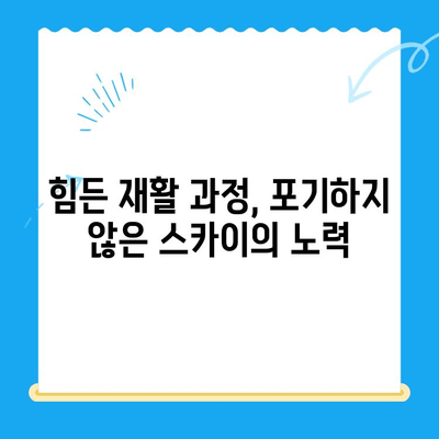 원주 24시 스카이 병원 강아지 사지마비 치료 후기| 희망을 찾은 이야기 | 반려동물, 재활, 후기, 성공사례