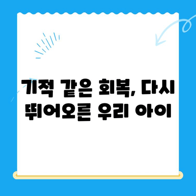 원주 24시 스카이 병원 강아지 사지마비 치료 후기| 희망을 찾은 이야기 | 반려동물, 재활, 후기, 성공사례