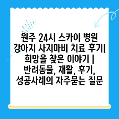 원주 24시 스카이 병원 강아지 사지마비 치료 후기| 희망을 찾은 이야기 | 반려동물, 재활, 후기, 성공사례