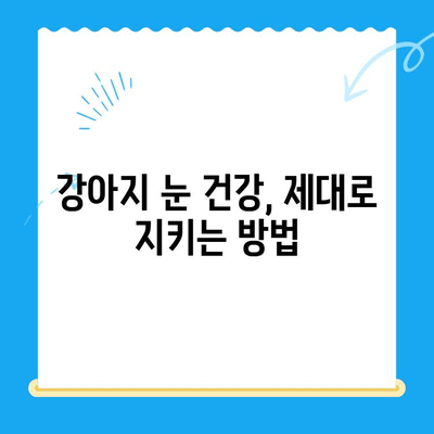 용인 평택 오산 24시 동물병원 안과 검진 후기| 강아지 눈 건강, 어떻게 지켜야 할까요? | 강아지 안과, 동물병원 추천, 24시 응급센터