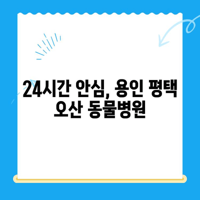 용인 평택 오산 24시 동물병원 안과 검진 후기| 강아지 눈 건강, 어떻게 지켜야 할까요? | 강아지 안과, 동물병원 추천, 24시 응급센터