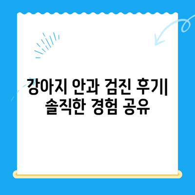 용인 평택 오산 24시 동물병원 안과 검진 후기| 강아지 눈 건강, 어떻게 지켜야 할까요? | 강아지 안과, 동물병원 추천, 24시 응급센터