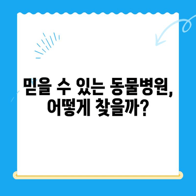 용인 평택 오산 24시 동물병원 안과 검진 후기| 강아지 눈 건강, 어떻게 지켜야 할까요? | 강아지 안과, 동물병원 추천, 24시 응급센터