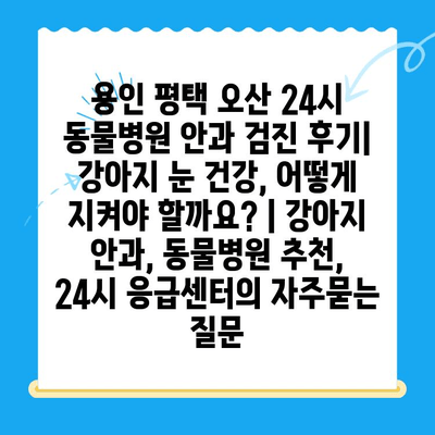 용인 평택 오산 24시 동물병원 안과 검진 후기| 강아지 눈 건강, 어떻게 지켜야 할까요? | 강아지 안과, 동물병원 추천, 24시 응급센터