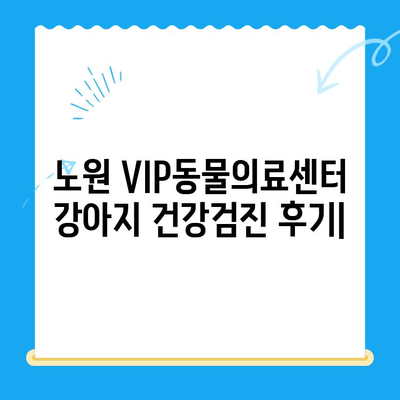 노원 VIP동물의료센터 강아지 건강검진 & 초음파 검사 후기| 꼼꼼한 진료부터 친절한 서비스까지 | 노원, 강아지 건강검진, 초음파 검사, 동물병원 후기