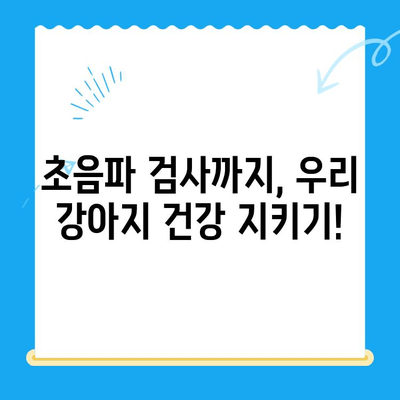 노원 VIP동물의료센터 강아지 건강검진 & 초음파 검사 후기| 꼼꼼한 진료부터 친절한 서비스까지 | 노원, 강아지 건강검진, 초음파 검사, 동물병원 후기