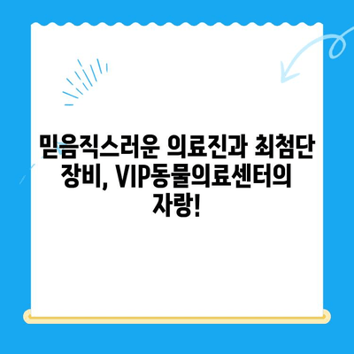 노원 VIP동물의료센터 강아지 건강검진 & 초음파 검사 후기| 꼼꼼한 진료부터 친절한 서비스까지 | 노원, 강아지 건강검진, 초음파 검사, 동물병원 후기