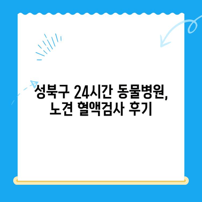 성북구 24시간 동물병원 노견 강아지 혈액검사 후기| 상세 경험 공유 | 노령견 건강, 혈액검사, 동물병원 추천